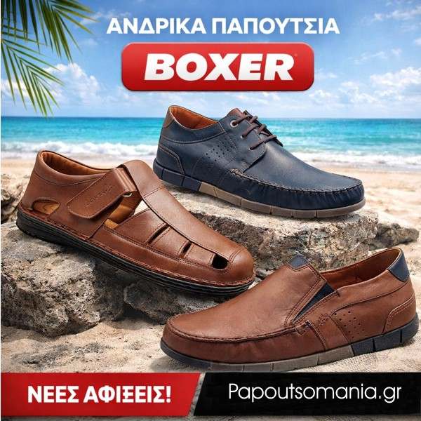 ΑΑνδρικά παπούτσια Boxer
